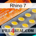 Rhino 7 new05